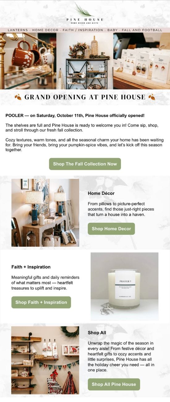 Portfolio Item - Pinehouse Email Campaign